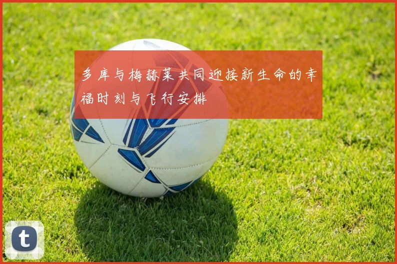 多库与梅赫莱共同迎接新生命的幸福时刻与飞行安排
