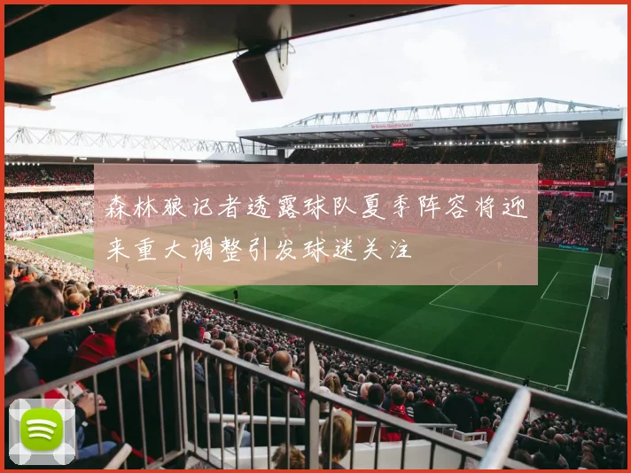 森林狼记者透露球队夏季阵容将迎来重大调整引发球迷关注